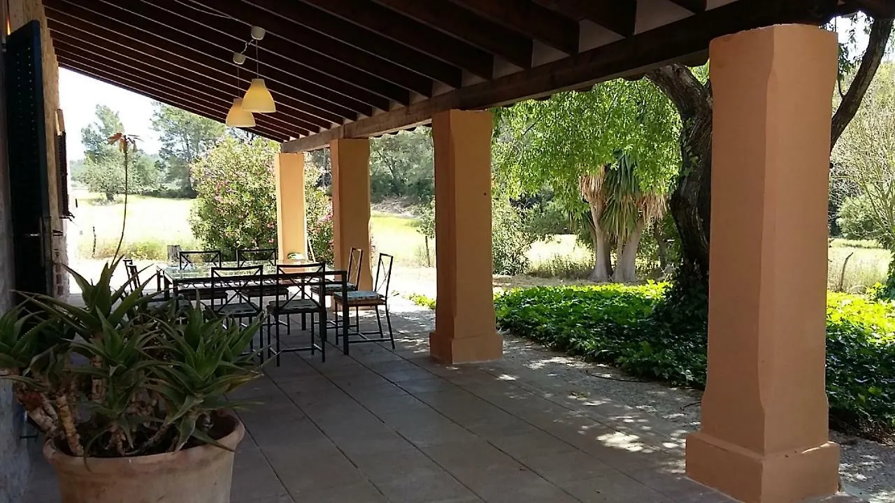 Finca En Paguera Villa Peguera Spain
