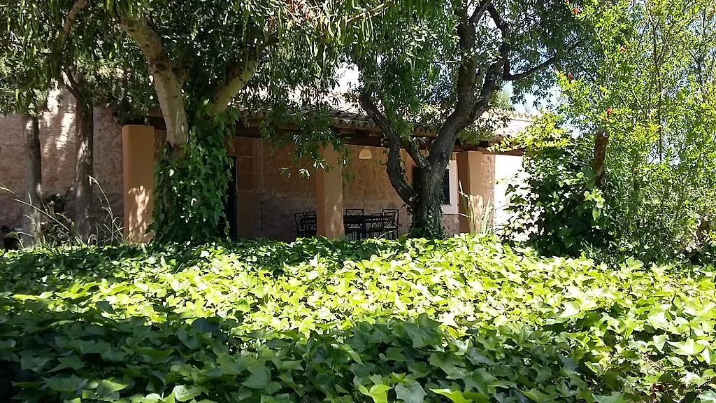 Finca En Paguera Villa Peguera Spain