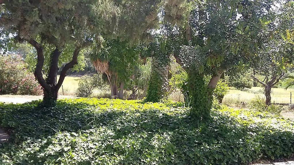 Finca En Paguera Villa Peguera